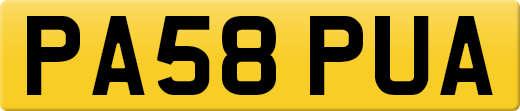 PA58PUA